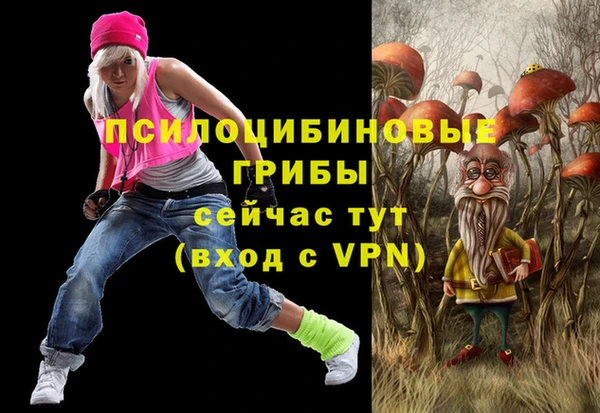 СК Киреевск
