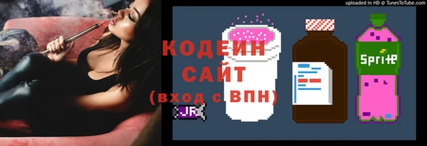 дмт Карпинск