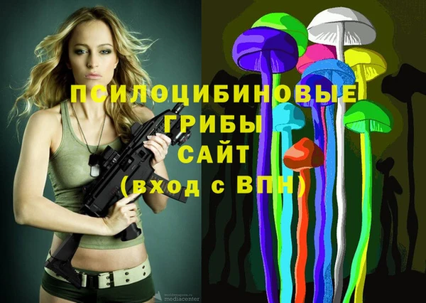 меф Кинешма