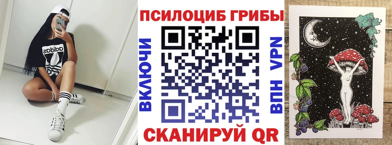 где купить наркотик  Пенза  Галлюциногенные грибы мухоморы 