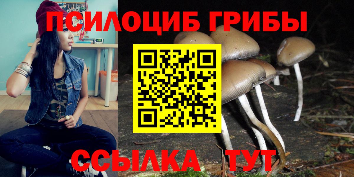 Псилоцибиновые грибы прущие грибы  Вход с VPN  Галлюциногенные грибы GOLDEN TEACHER  Пенза 