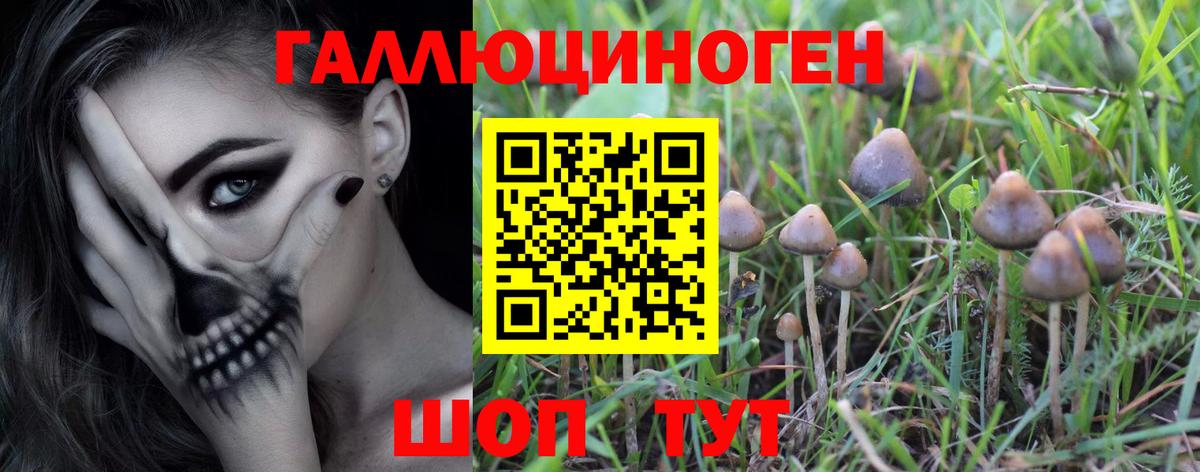 Галлюциногенные грибы мухоморы Пенза
